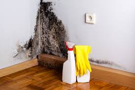 Why You Should Choose Our Mold Remediation Services in Vineyard, CA